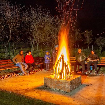 Agropensiunea Darden Baia de Fier Exterior foto
