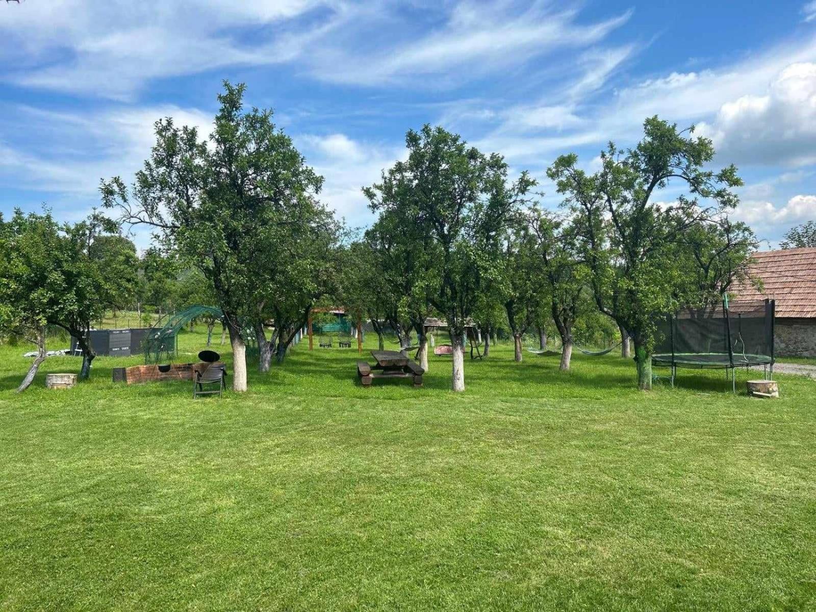 Agropensiunea Darden Baia de Fier Exterior foto