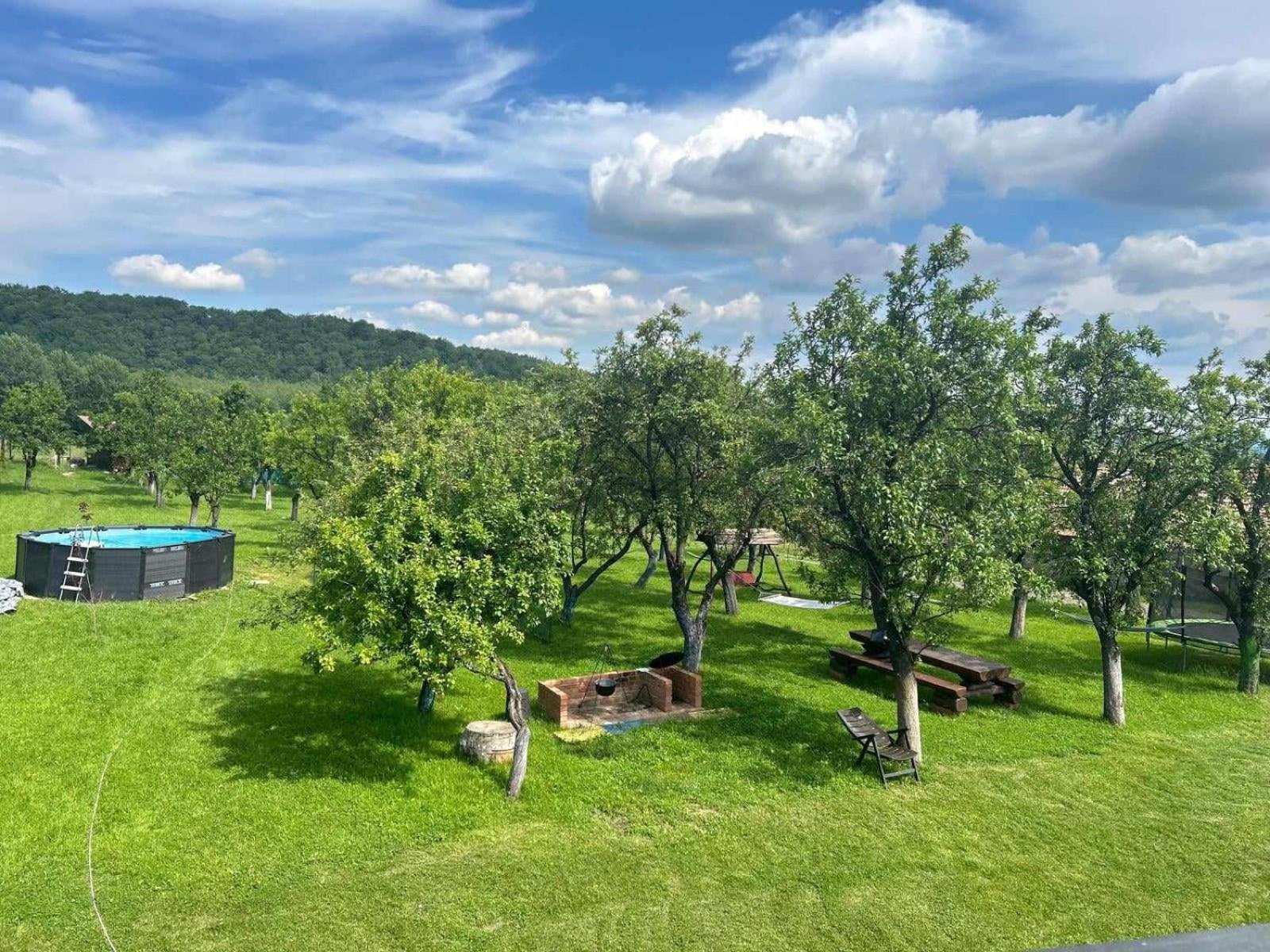 Agropensiunea Darden Baia de Fier Exterior foto