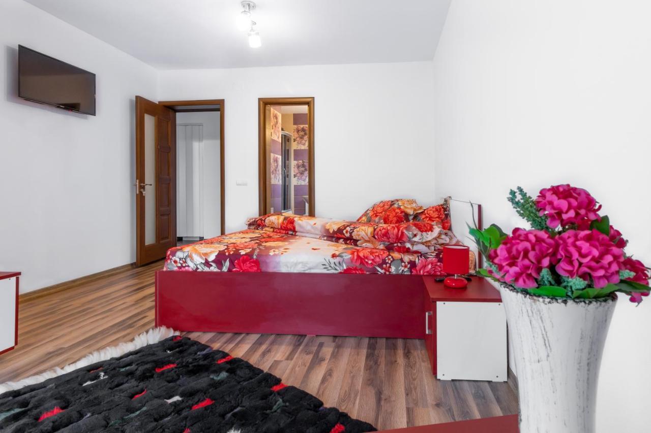 Agropensiunea Darden Baia de Fier Exterior foto